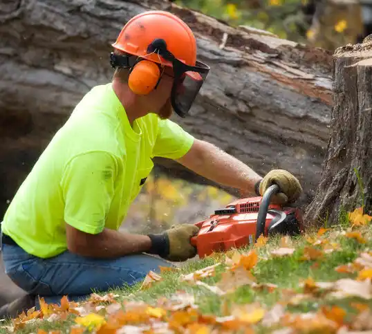 tree services Barclay